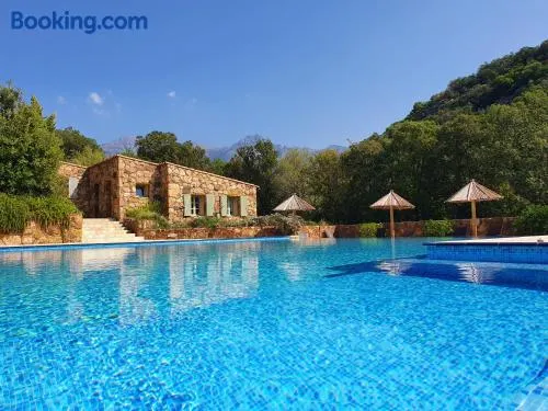 Domaine Codaleone - Image 1