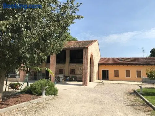 Le Colombe - Image 1