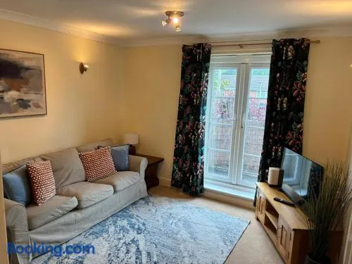 Spacious 2 Bedroom Apartment in Ascot - Image 1