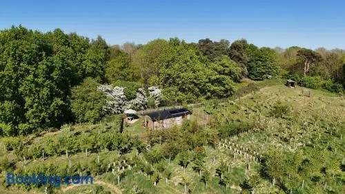 Oskar's Shepherd's Hut at Snug Hollow - Image 1