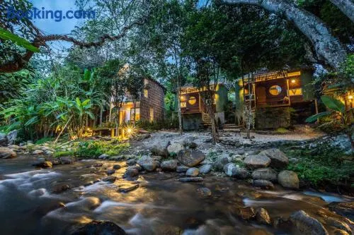 The ForRest Peace Forest แม่กำปอง - Image 1
