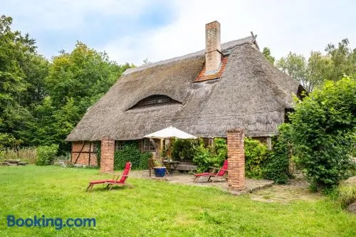 Charmante Wohnung Im Natur-Wald - Image 1