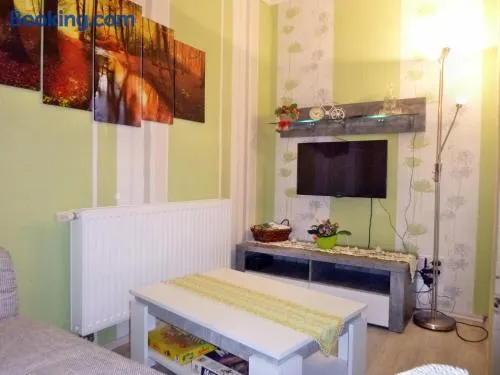 Ferienwohnung Zur Rennsteigruh - Image 1