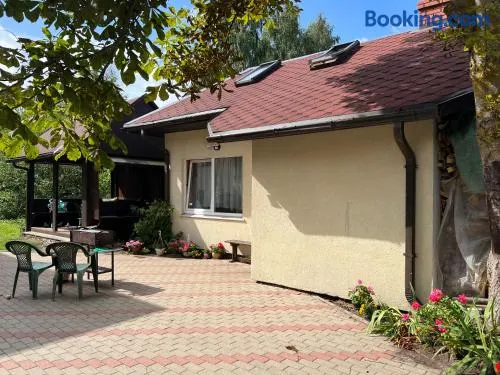 Ragaciems Guest house Beach 5 min Viesu māja pie jūras Апартаменты у моря - Image 1