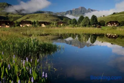 Monte Video-Deo Gloria - Image 1