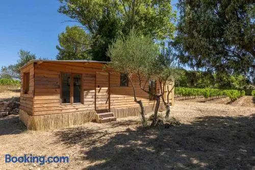 cabane des vignes - Image 1