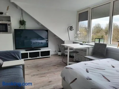 Studio 76 Groningen met gratis leenfietsen - Image 1