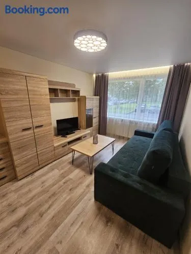 Taikos apartamentai - Image 1