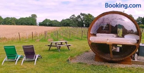 Tonneau bulle insolite vue sur vignoble - Image 1
