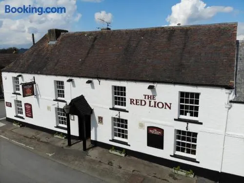 The Red Lion Arlingham - Image 1