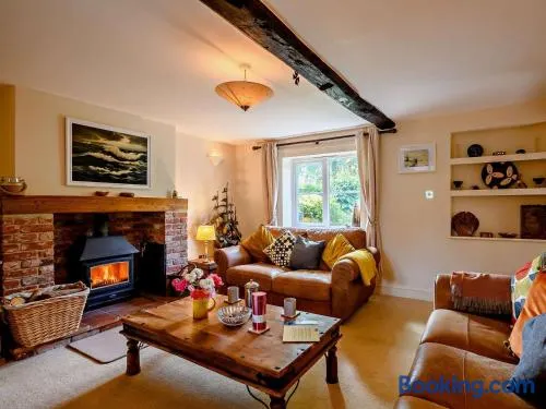 2 Bed in Norwich oc-88616 - Image 1