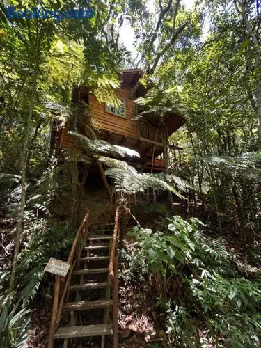 Casa na Árvore - Image 1