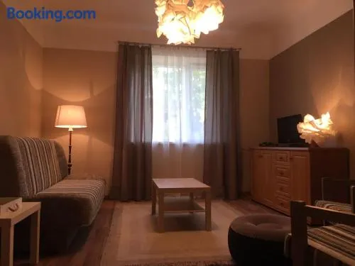 Apartaments Selga - Image 1