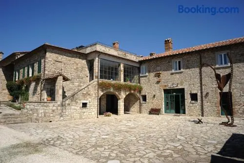 Agriturismo Tenuta Conti Faina - Image 1