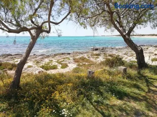Punta Grossa - Porto Cesareo - Image 1