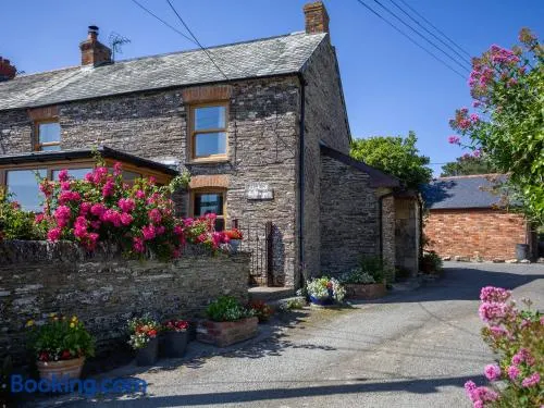 Uphill Cottage - Image 1