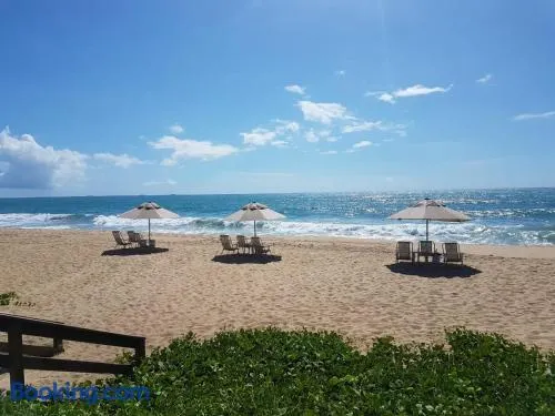 Beach Class Eco Life Figueira - Image 1