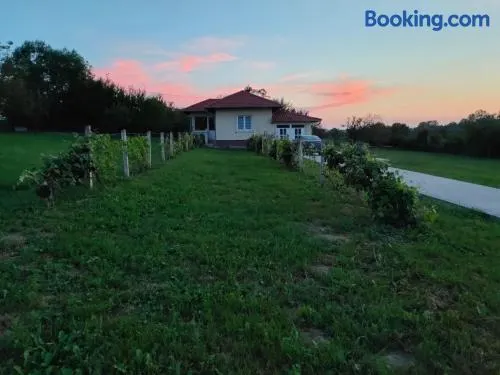 Apartman Milenkovic - Image 1