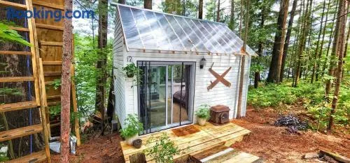 2 Romantic Island Cabins for 5 - Hot Tub Boat - Image 1