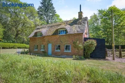 2 Bed in Norwich oc-56104 - Image 1