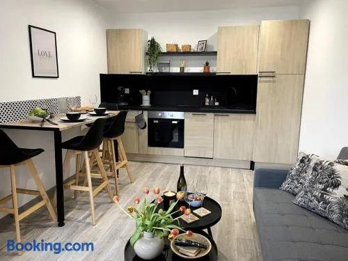 Bel appartement sur cour plein centre ville et parking - Image 1
