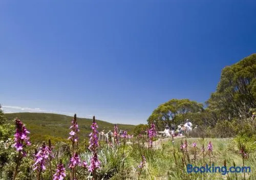 Snow Gum Apartment 2 - Image 1