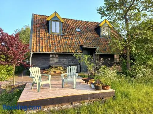 Lodge De Zandbalk - Image 1