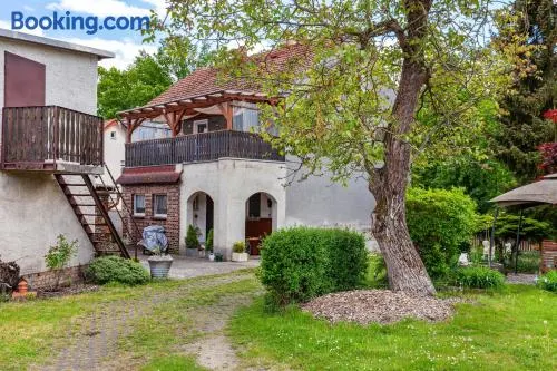 Ferienwohnung Waldglück - Image 1