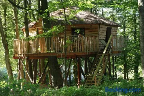 B&B La Cabane du Bois Dormant - Image 1