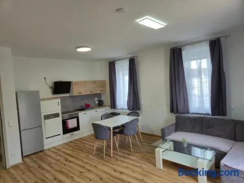 Travel & Bike Apartments an der Donau - mit WLAN & Bike Garage - Image 1