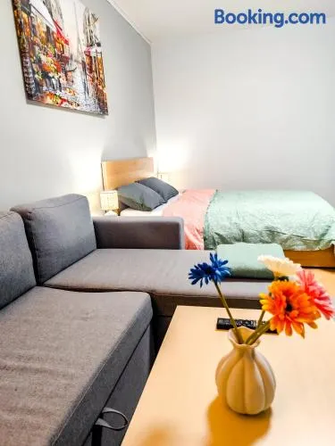 Spacious and Comfy Apartment, 15 Mins from Airport, 17 Minutes to City Center - Image 1