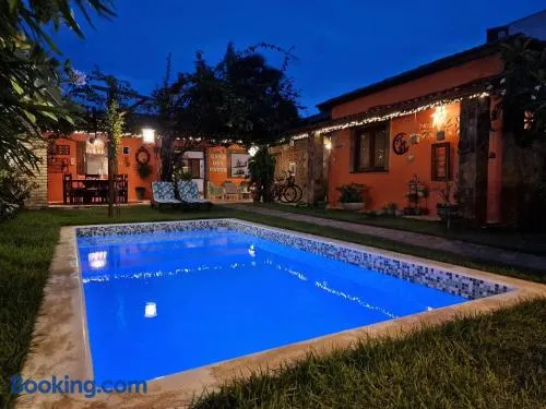 Casa Dos Patos - Image 1