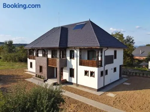 Pensiunea Casa Doamnei - Image 1