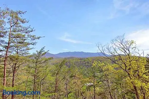 Heavenly Summit by Venture Smoky Mountains - Image 1