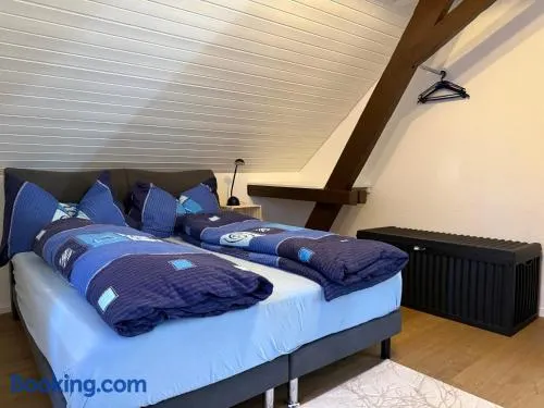 Apartment in Düdingen - Image 1