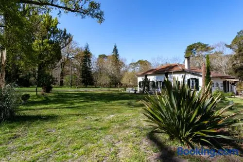 Domaine forestier Darricau au bord du lac, 12 min de l'océan - Image 1