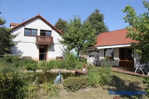 Gospodarstwo Agroturystyczne Natalia Bębnista - Stajnia Morgan - Image 1
