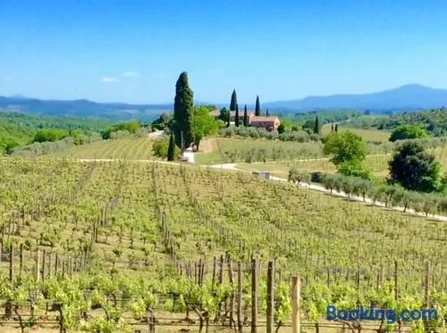 Casa Rossella, incantevole casa con piscina in Tenuta storica del Chianti - Image 1