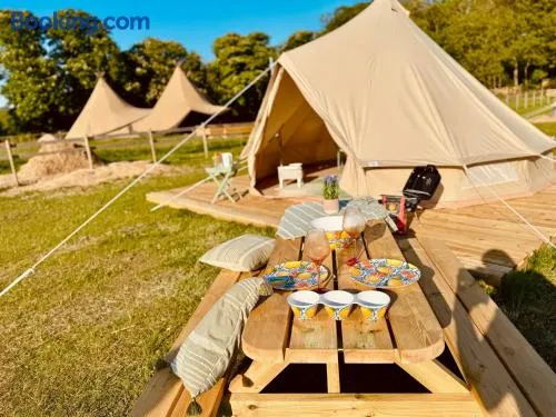 Quex Glamping - Image 1