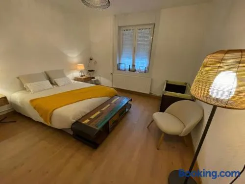 Les HIRONDELLES CHAMBRES HOTES 10 PERSONNES - Image 1