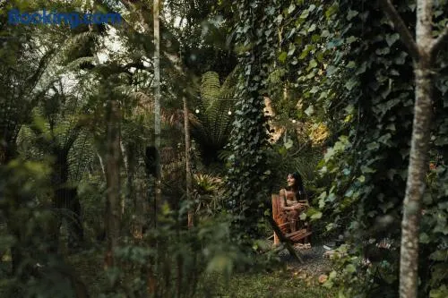 Cabanas na Serra - Celeste, natureza & privacidade - Image 1