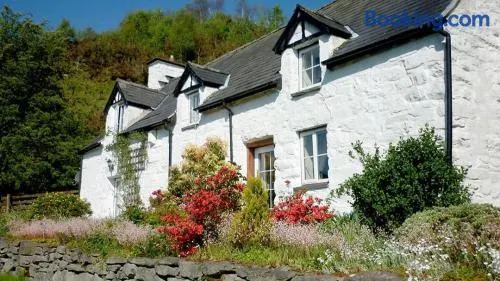 Maes Glas - Image 1