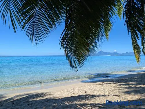Iolana's Beach house - Beautiful Home - Image 1