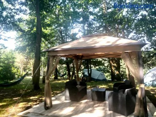 La Finca - Campamento en la Naturaleza - Image 1