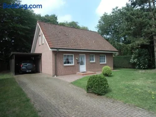 Busche RE03 - Image 1