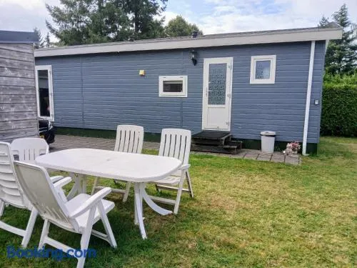 Chalet de Putter in Putten - Image 1