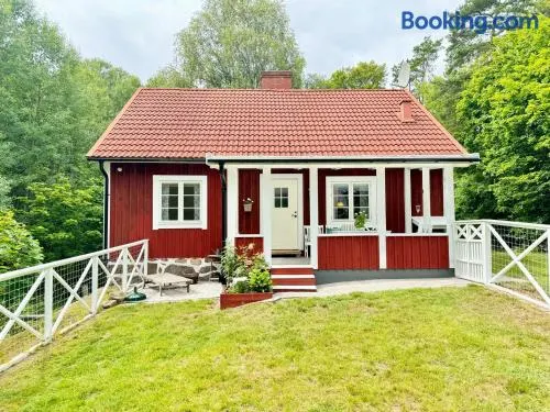 Charming little Swedish cottage in the Big Woods - Image 1