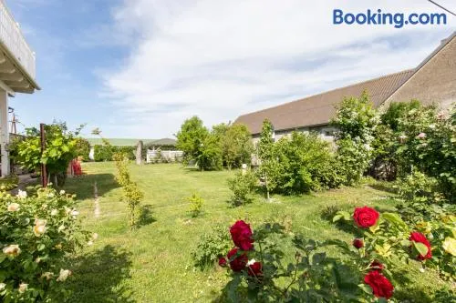 Pension Tadtendrang - Image 1