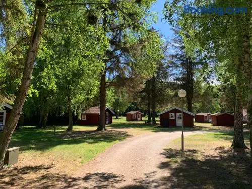 Nordskoven Strand Camping - Image 1