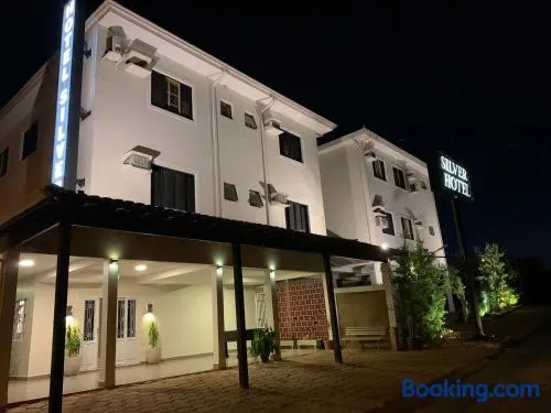 Hotel Silver - Image 1
